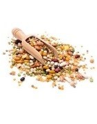 Legumes